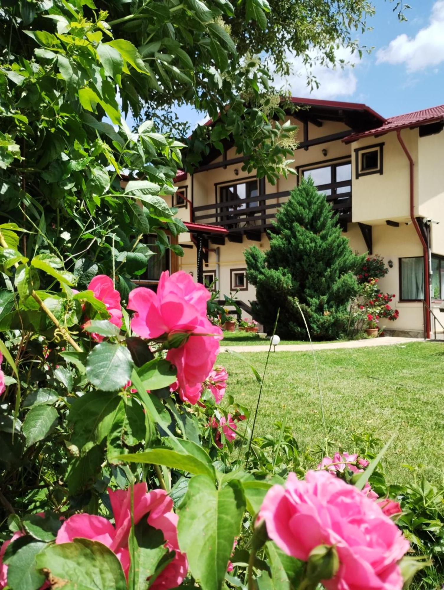 Casa Cu Flori 호텔 부스테니 외부 사진